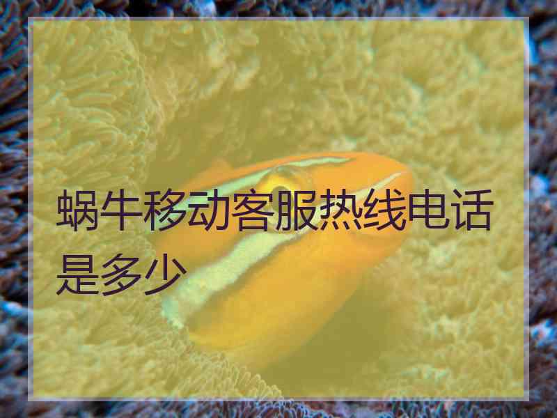 蜗牛移动客服热线电话是多少