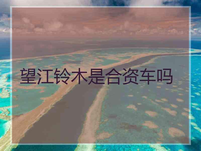 望江铃木是合资车吗