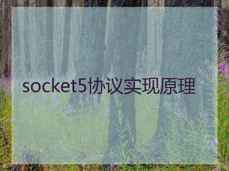 socket5协议实现原理