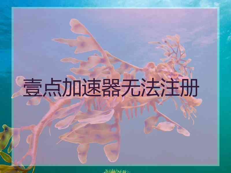 壹点加速器无法注册
