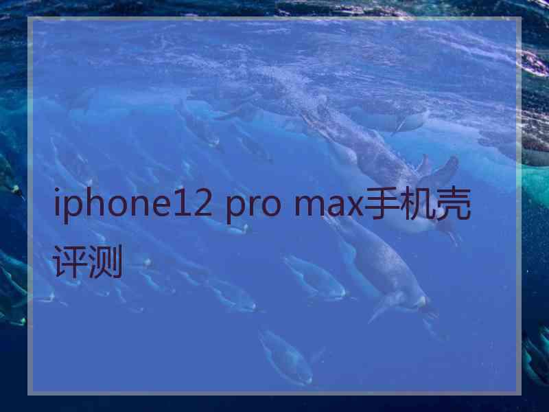 iphone12 pro max手机壳评测