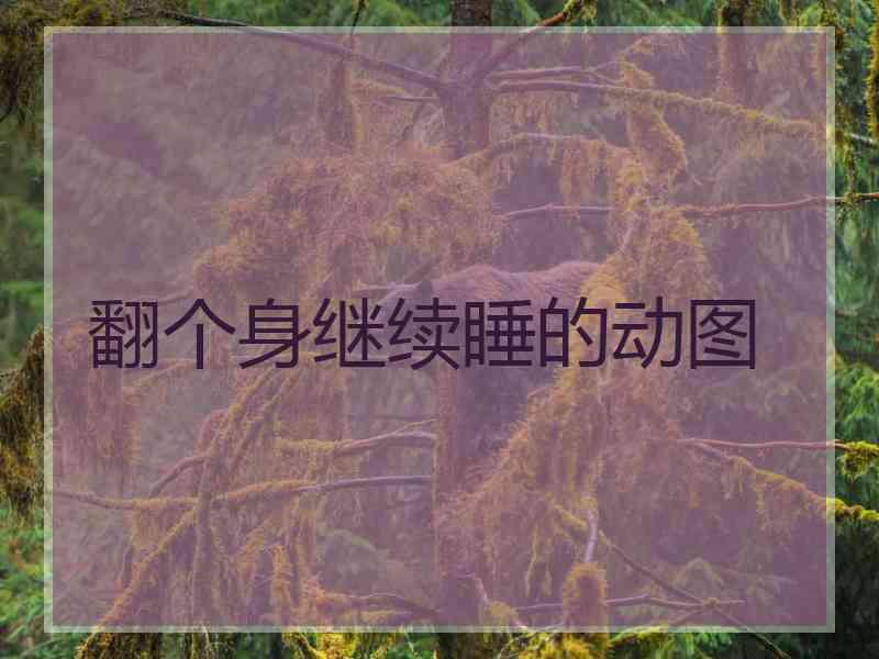 翻个身继续睡的动图