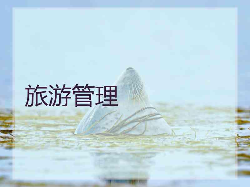 旅游管理
