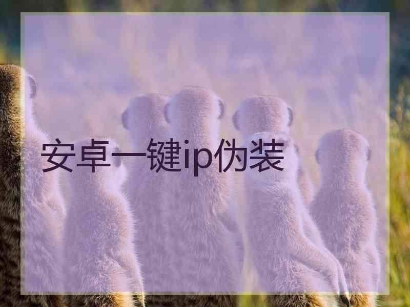 安卓一键ip伪装