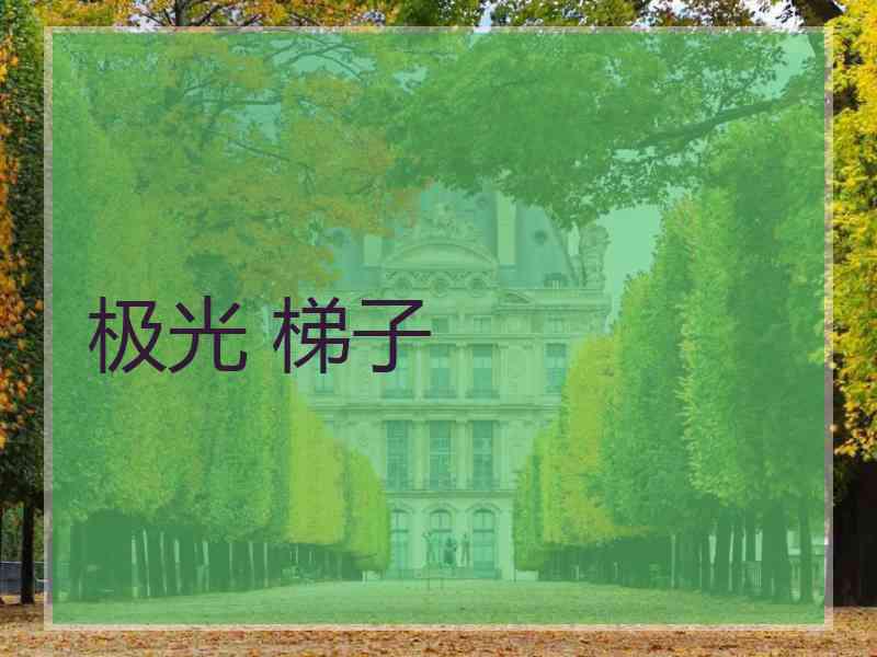 极光 梯子