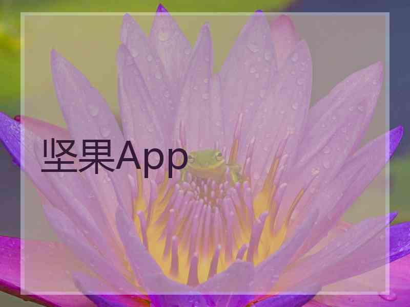 坚果App