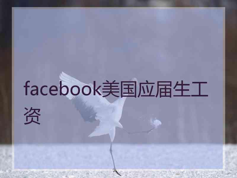 facebook美国应届生工资