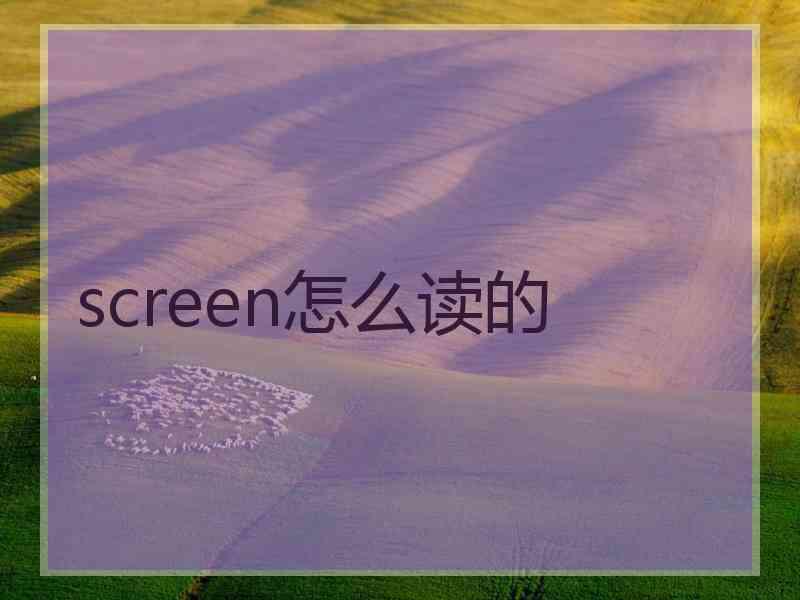 screen怎么读的