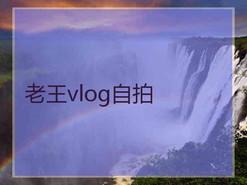 老王vlog自拍