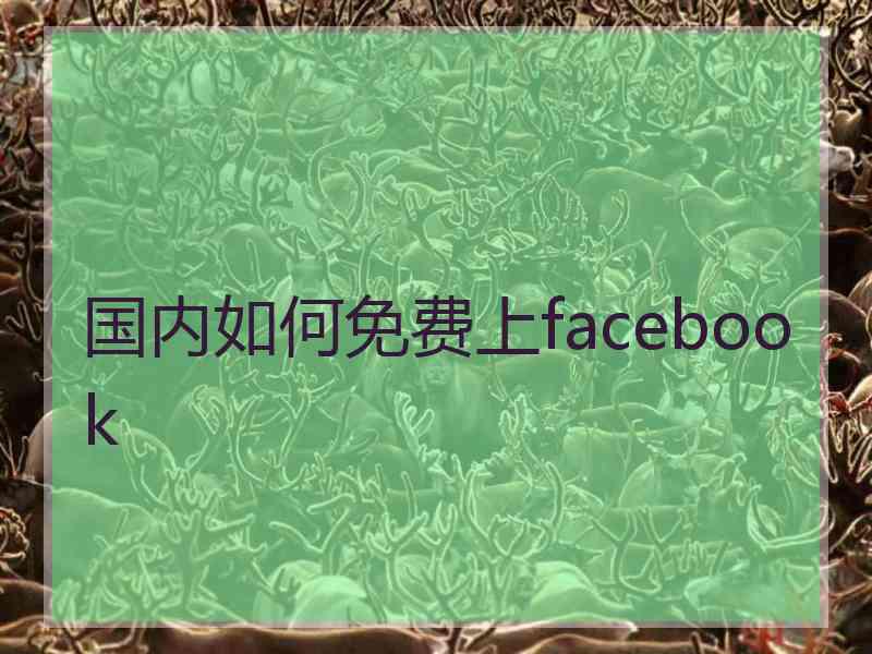 国内如何免费上facebook