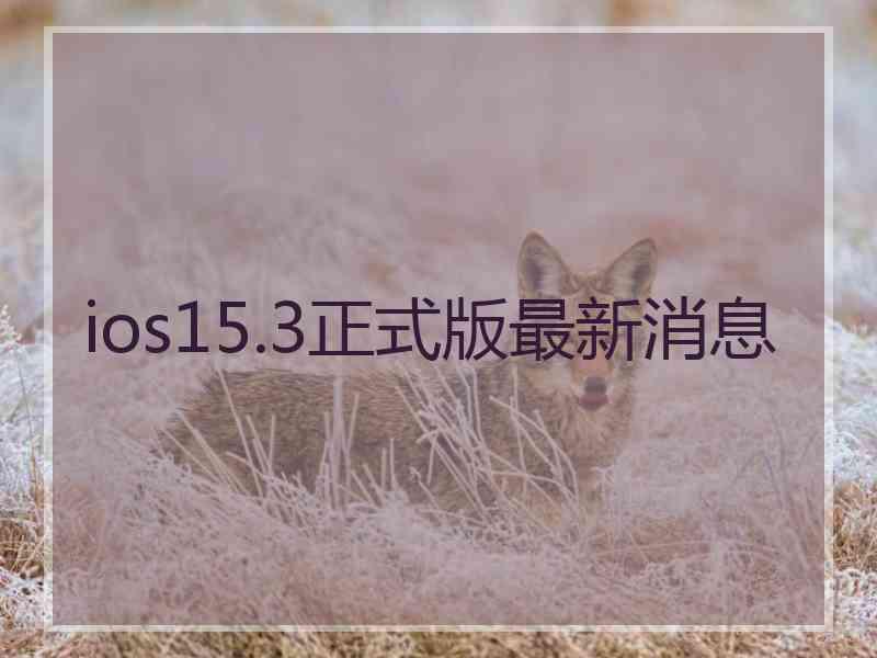 ios15.3正式版最新消息