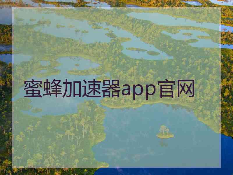 蜜蜂加速器app官网