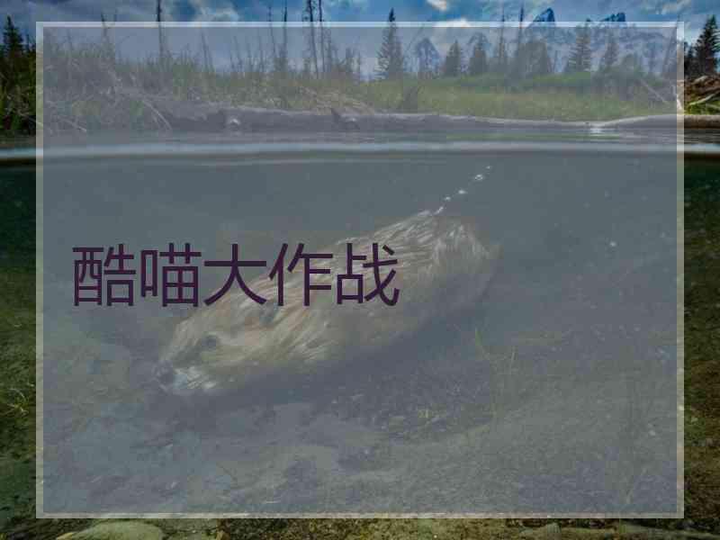 酷喵大作战