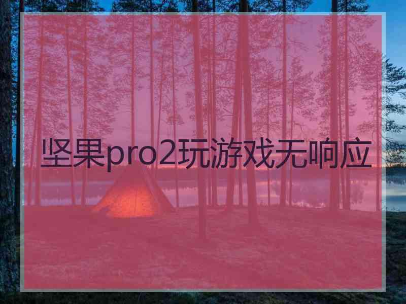 坚果pro2玩游戏无响应