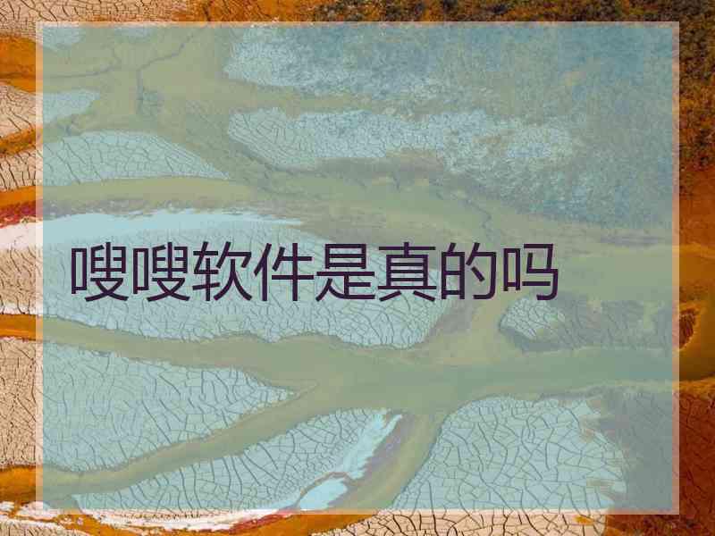 嗖嗖软件是真的吗