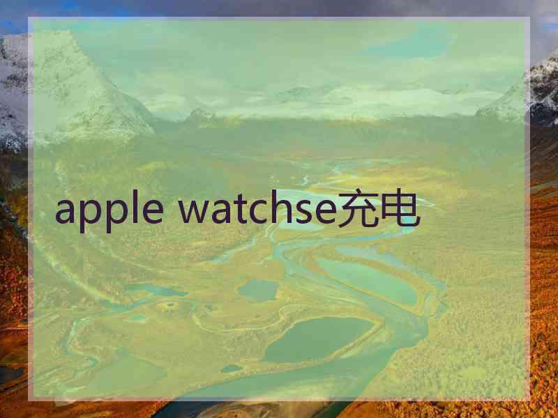 apple watchse充电