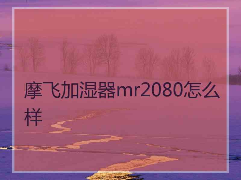 摩飞加湿器mr2080怎么样