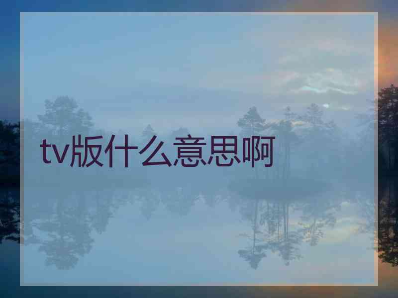 tv版什么意思啊