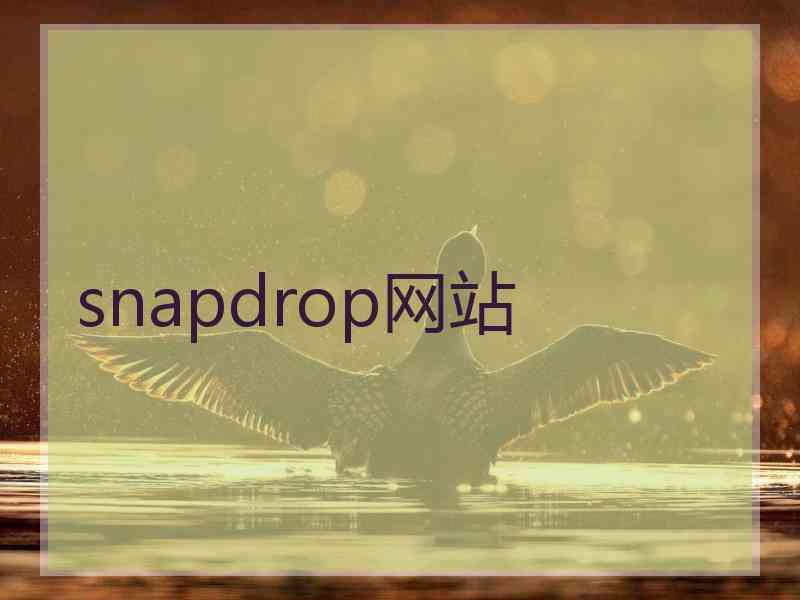 snapdrop网站