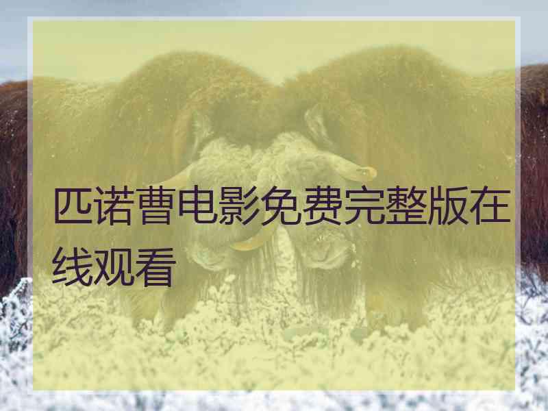匹诺曹电影免费完整版在线观看
