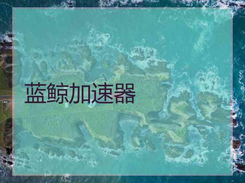 蓝鲸加速器
