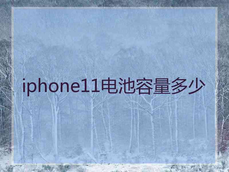 iphone11电池容量多少