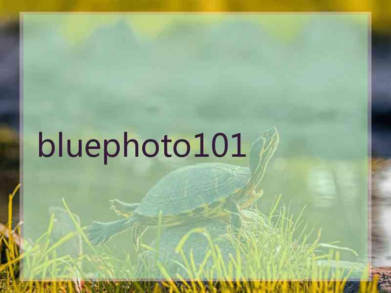 bluephoto101