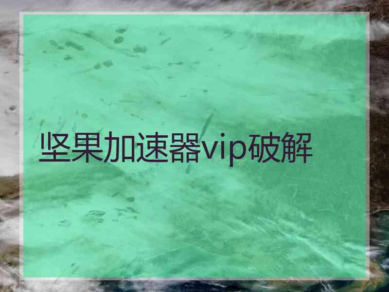 坚果加速器vip破解