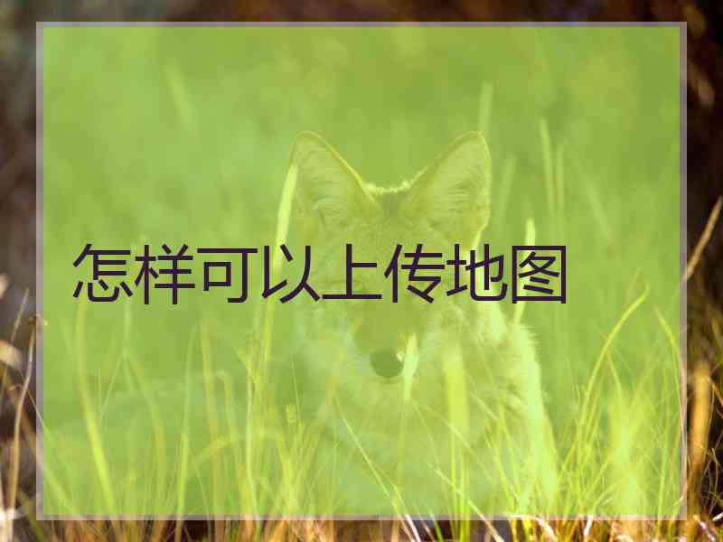 怎样可以上传地图