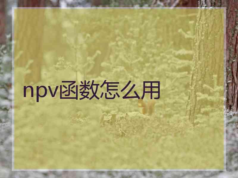npv函数怎么用