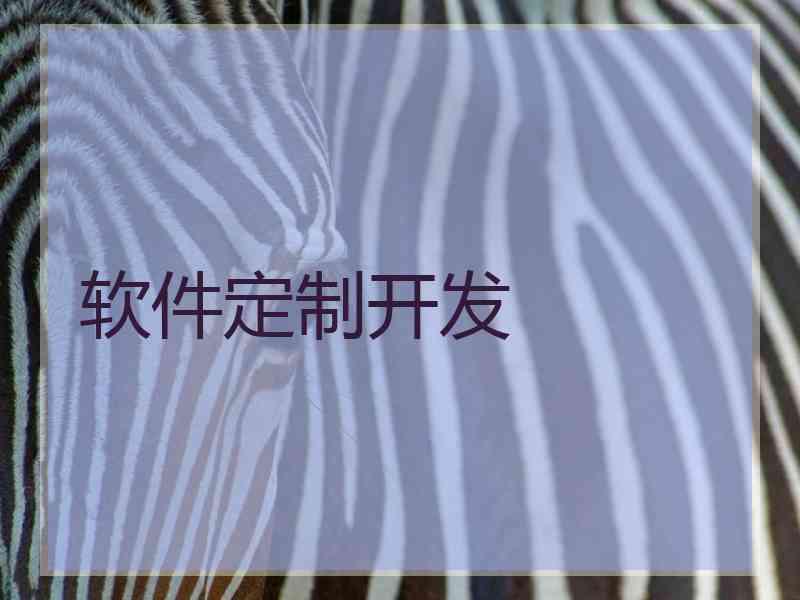 软件定制开发