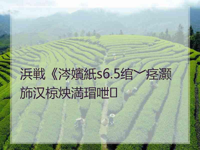 浜戦《涔嬪紙s6.5绾﹀痉灏斾汉椋炴満瑁呭