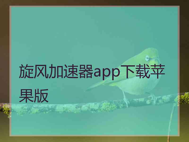 旋风加速器app下载苹果版