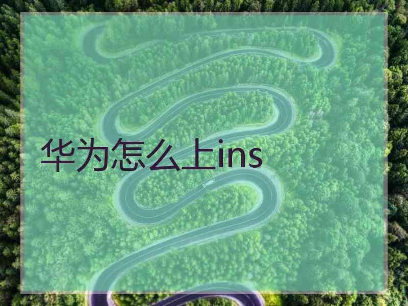 华为怎么上ins