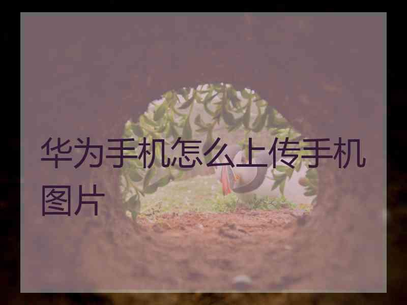 华为手机怎么上传手机图片