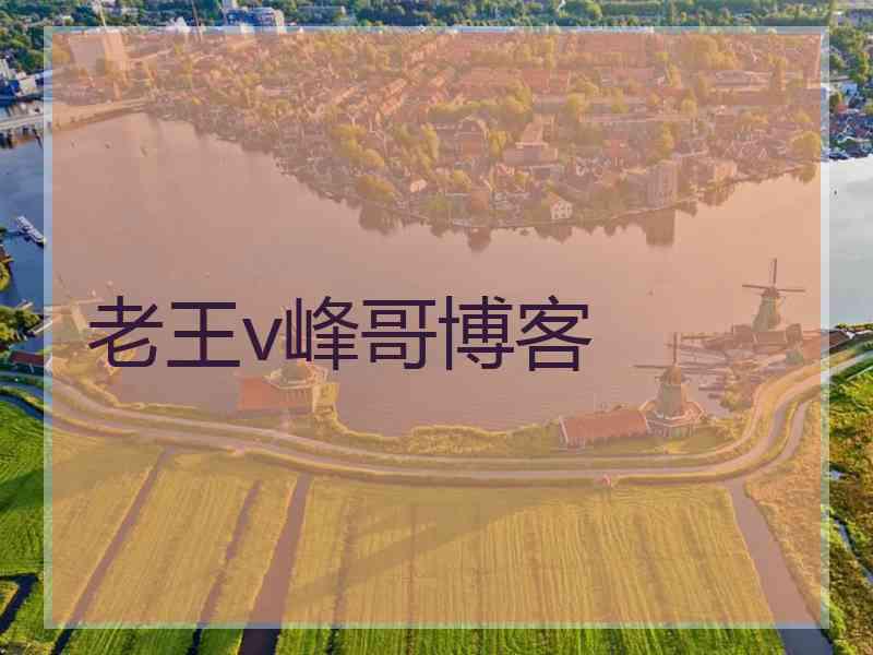 老王v峰哥博客