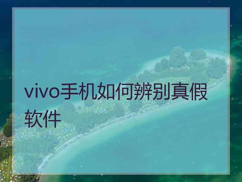 vivo手机如何辨别真假软件