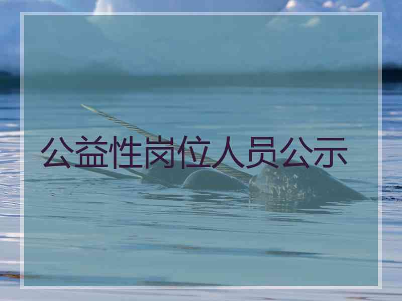 公益性岗位人员公示
