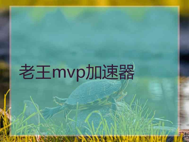 老王mvp加速器
