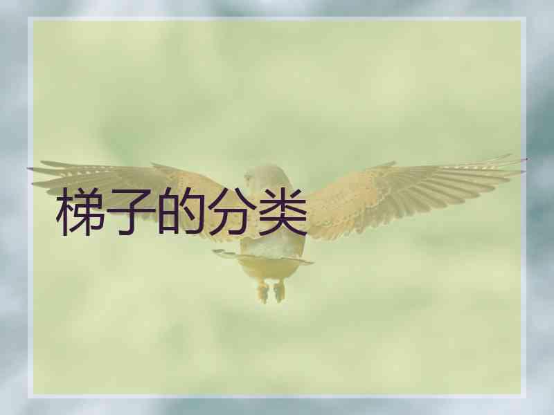 梯子的分类