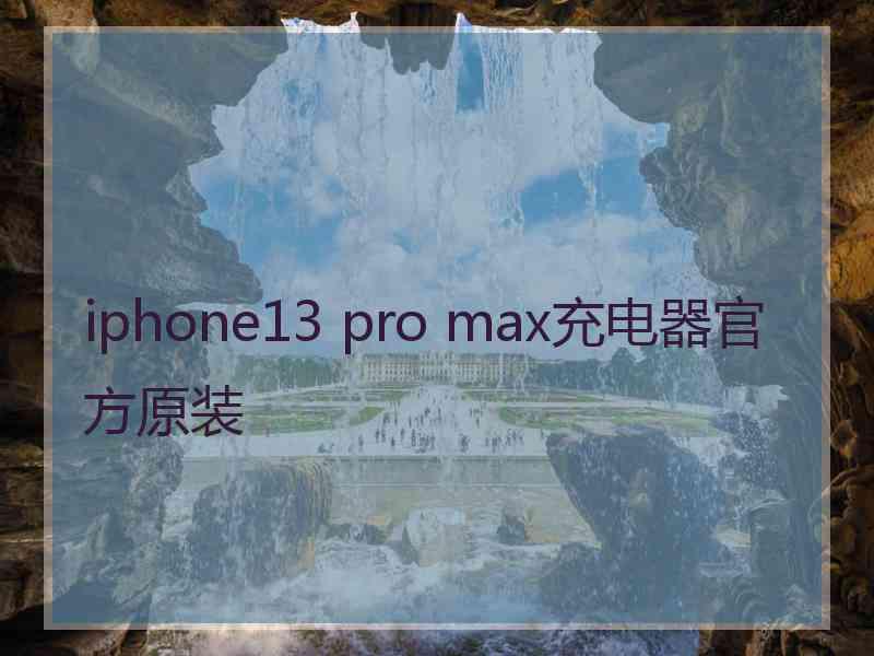 iphone13 pro max充电器官方原装