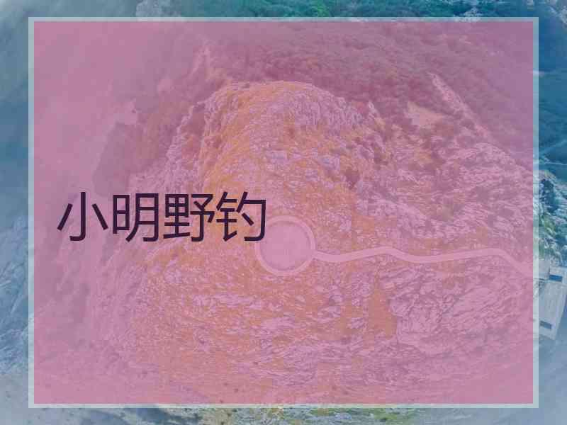 小明野钓