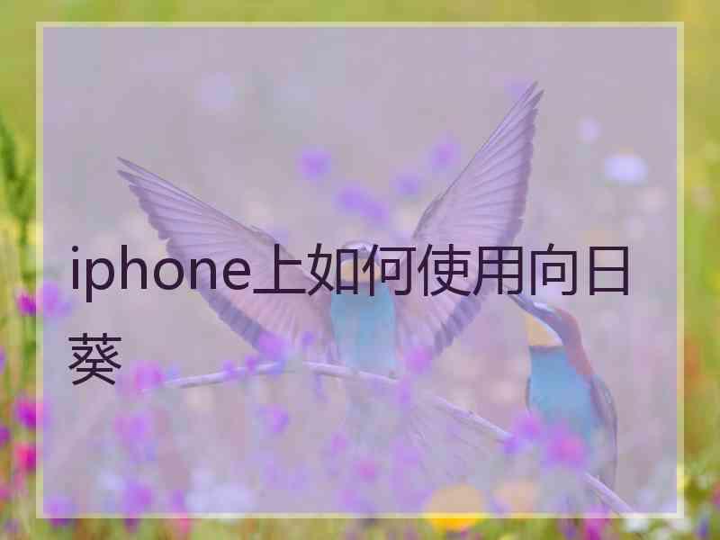 iphone上如何使用向日葵