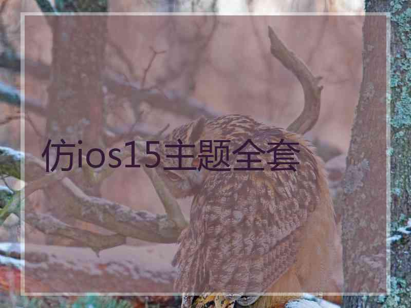 仿ios15主题全套