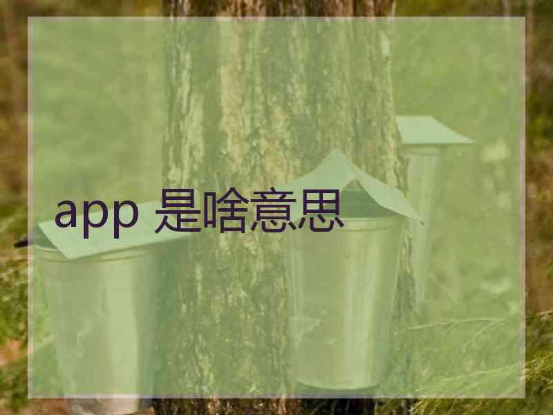 app 是啥意思