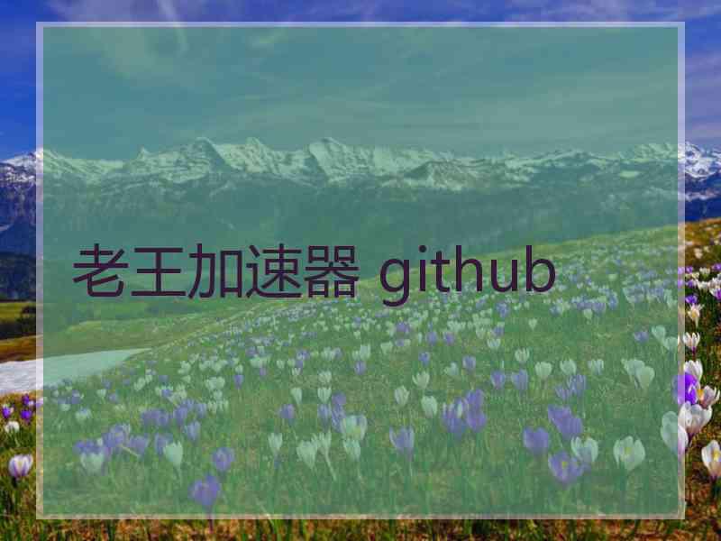 老王加速器 github