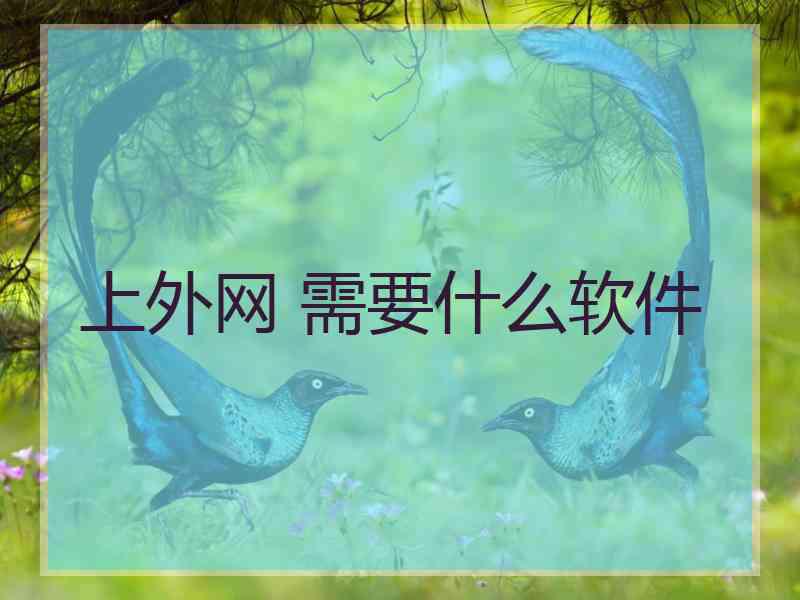 上外网 需要什么软件