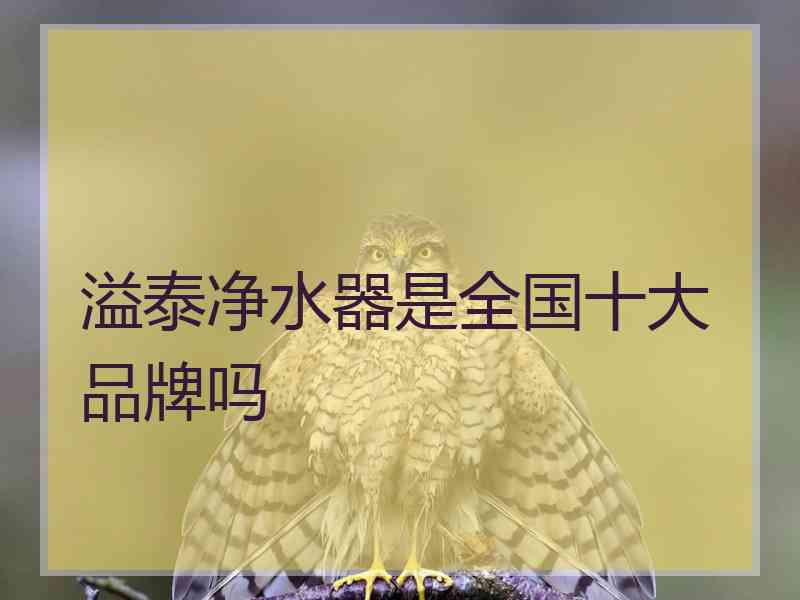 溢泰净水器是全国十大品牌吗