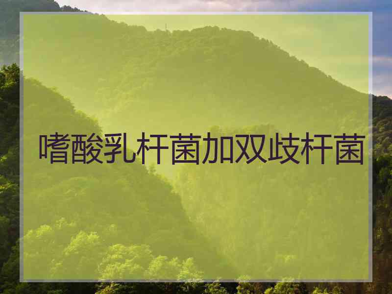 嗜酸乳杆菌加双歧杆菌