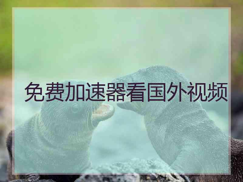 免费加速器看国外视频